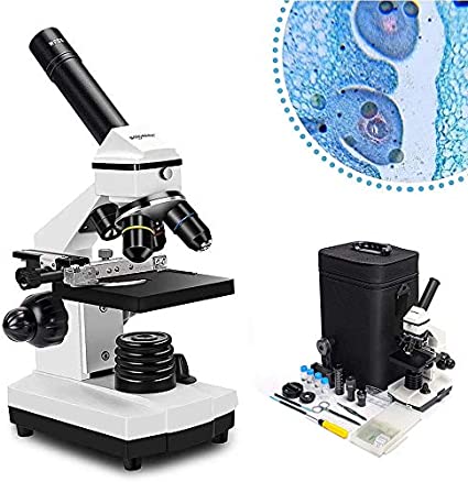 Test und Bewertung des Solomark 20x1280x Mikroskops